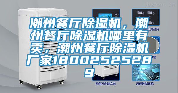 潮州餐廳除濕機(jī)，潮州餐廳除濕機(jī)哪里有賣，潮州餐廳除濕機(jī)廠家18002525289
