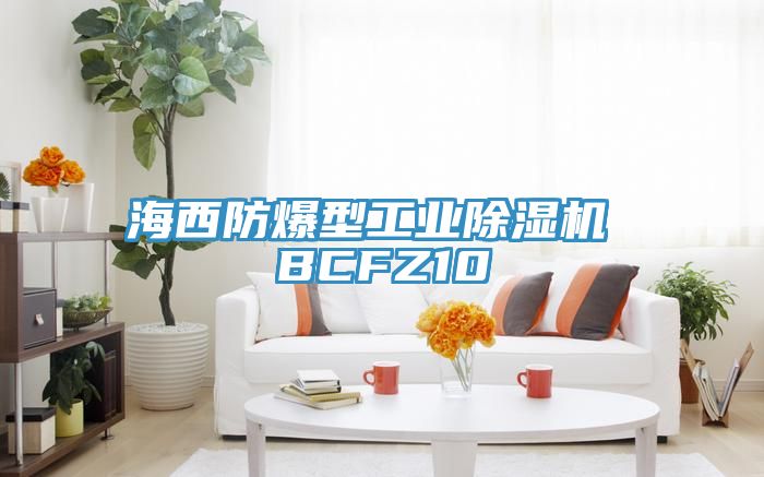 海西防爆型工業除濕機 BCFZ10