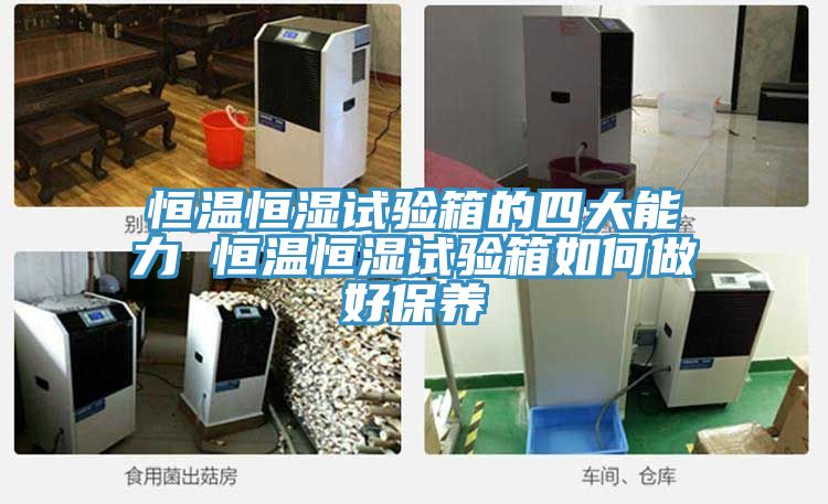 恒溫恒濕試驗箱的四大能力 恒溫恒濕試驗箱如何做好保養