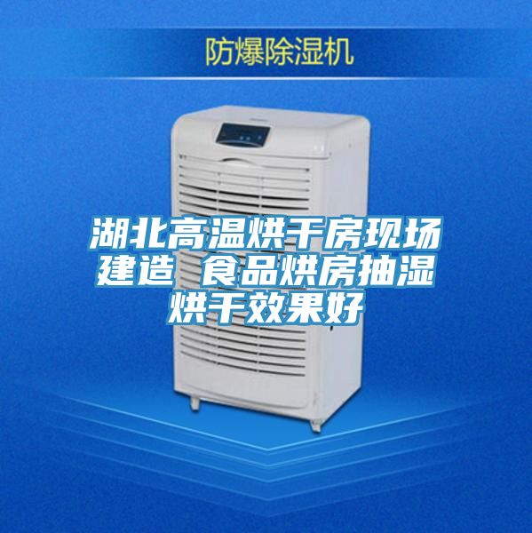 湖北高溫烘干房現場建造 食品烘房抽濕烘干效果好