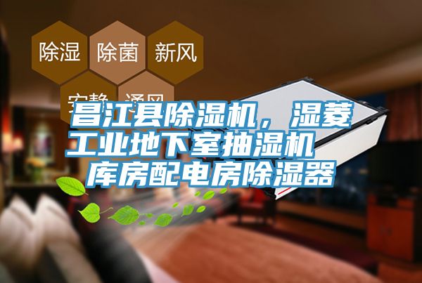昌江縣除濕機(jī)，濕菱工業(yè)地下室抽濕機(jī)  庫房配電房除濕器