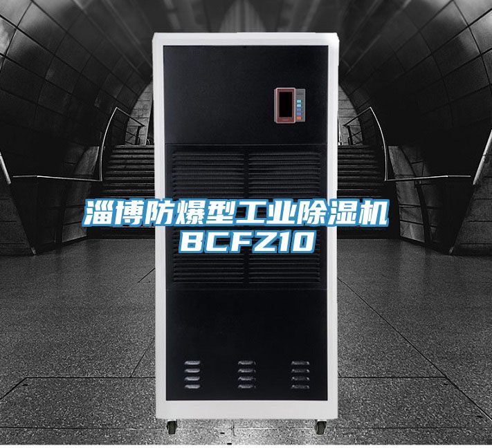 淄博防爆型工業除濕機 BCFZ10