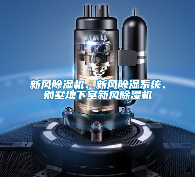 新風(fēng)除濕機(jī)、新風(fēng)除濕系統(tǒng)、別墅地下室新風(fēng)除濕機(jī)