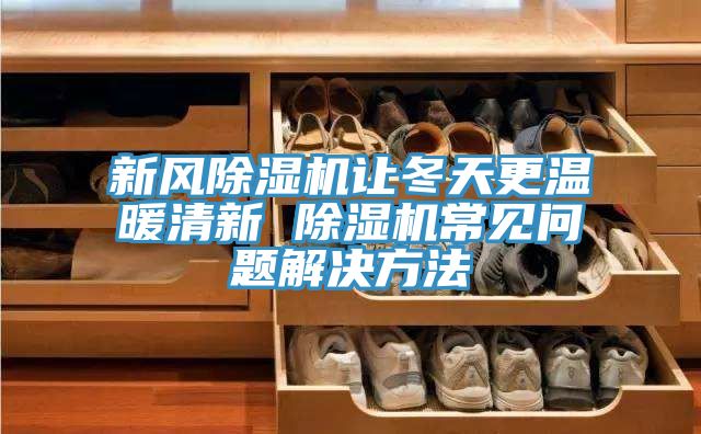 新風除濕機讓冬天更溫暖清新 除濕機常見問題解決方法
