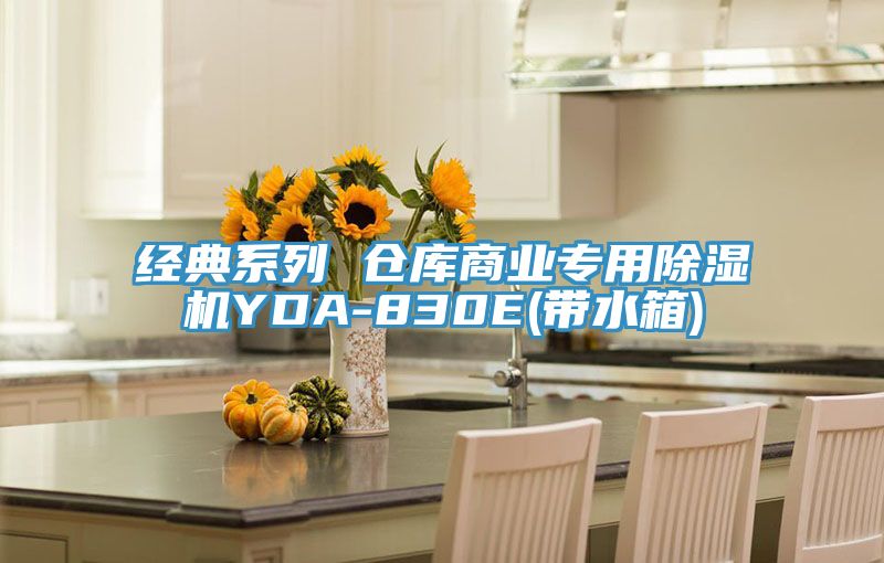 經典系列 倉庫商業專用除濕機YDA-830E(帶水箱)
