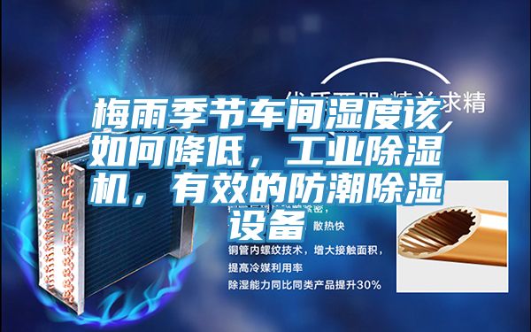 梅雨季節(jié)車間濕度該如何降低,工業(yè)除濕機(jī),有效的防潮除濕設(shè)備