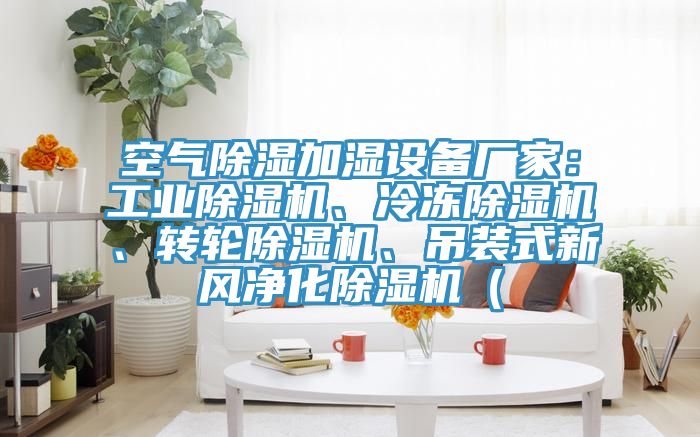 空氣除濕加濕設(shè)備廠家：工業(yè)除濕機、冷凍除濕機、轉(zhuǎn)輪除濕機、吊裝式新風(fēng)凈化除濕機（