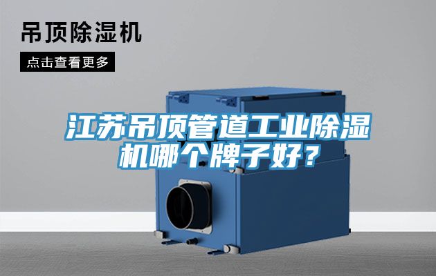 江蘇吊頂管道工業除濕機哪個牌子好？