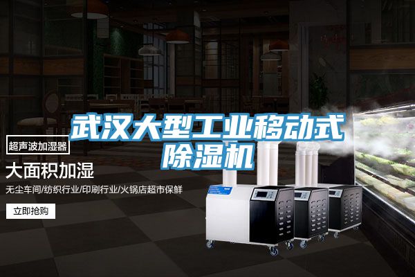 武漢大型工業(yè)移動(dòng)式除濕機(jī)
