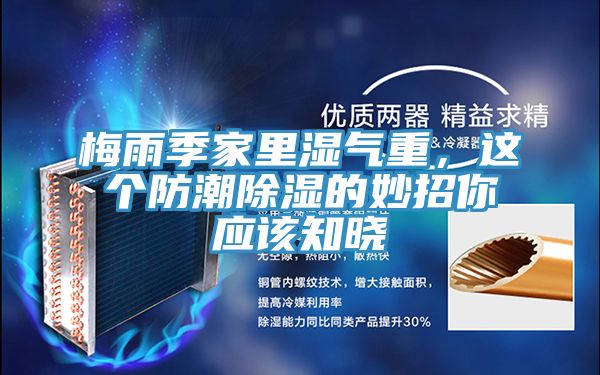 梅雨季家里濕氣重，這個防潮除濕的妙招你應(yīng)該知曉