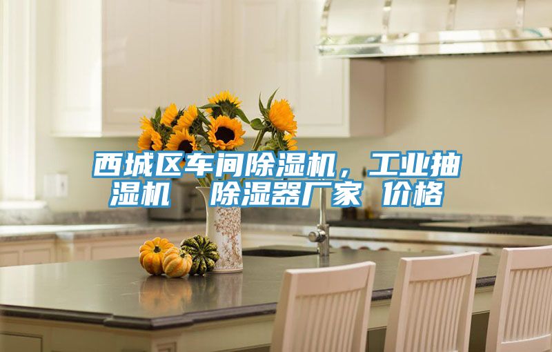 西城區車間除濕機，工業抽濕機  除濕器廠家 價格