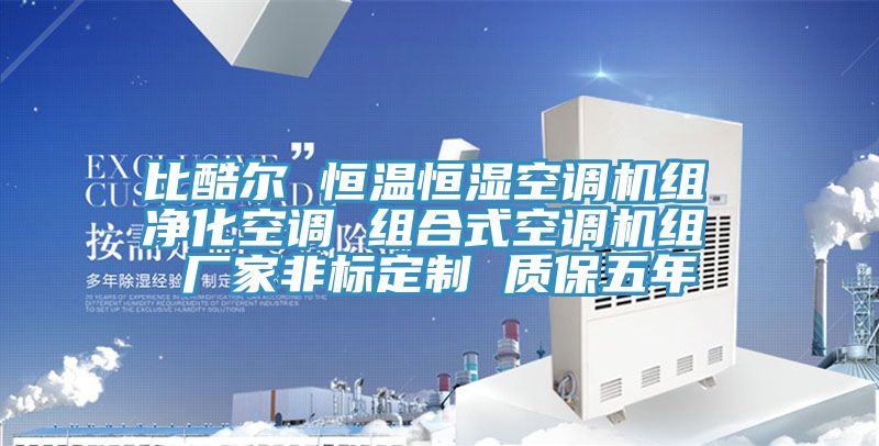 比酷爾 恒溫恒濕空調機組 凈化空調 組合式空調機組 廠家非標定制 質保五年