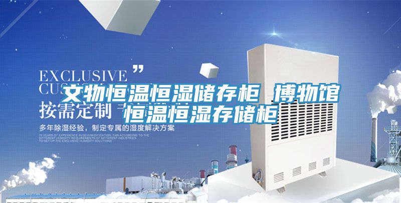 文物恒溫恒濕儲(chǔ)存柜 博物館恒溫恒濕存儲(chǔ)柜