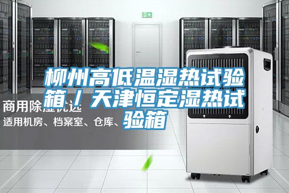 柳州高低溫濕熱試驗箱／天津恒定濕熱試驗箱