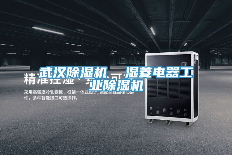 武漢除濕機  濕菱電器工業除濕機