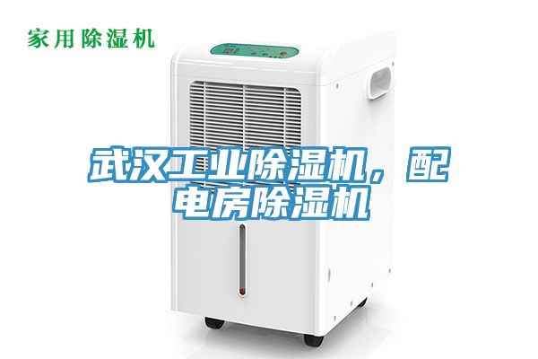 武漢工業除濕機，配電房除濕機