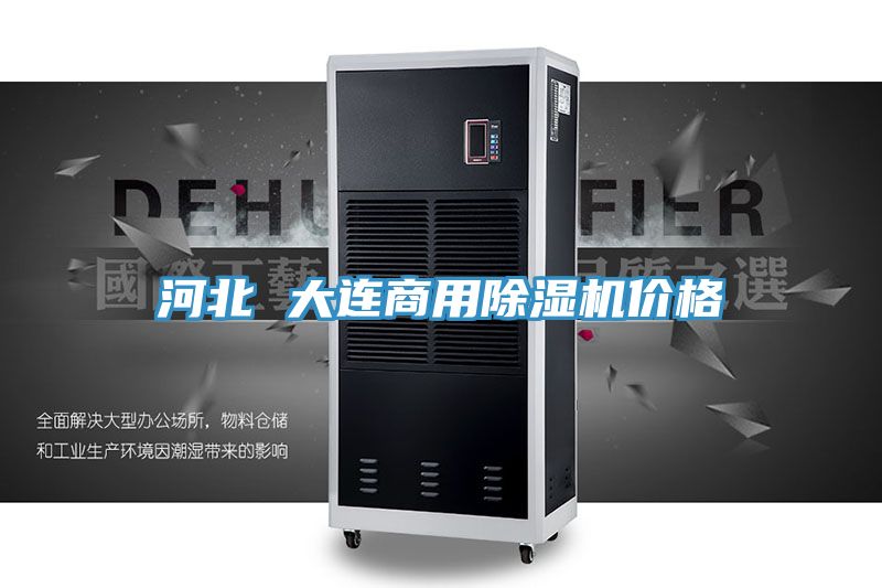 河北 大連商用除濕機價格