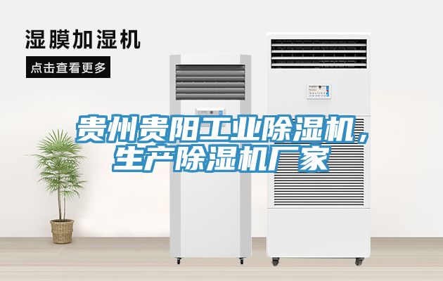 貴州貴陽工業除濕機，生產除濕機廠家