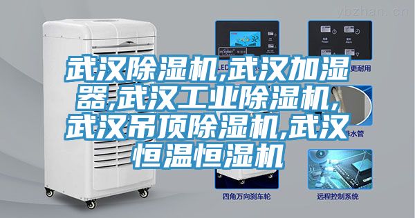 武漢除濕機,武漢加濕器,武漢工業除濕機,武漢吊頂除濕機,武漢恒溫恒濕機