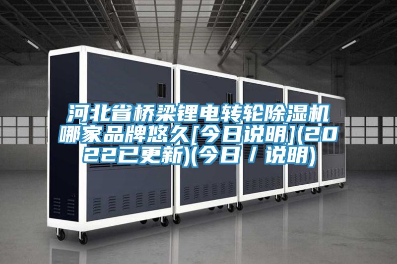 河北省橋梁鋰電轉(zhuǎn)輪除濕機(jī)哪家品牌悠久[今日說明](2022已更新)(今日／說明)