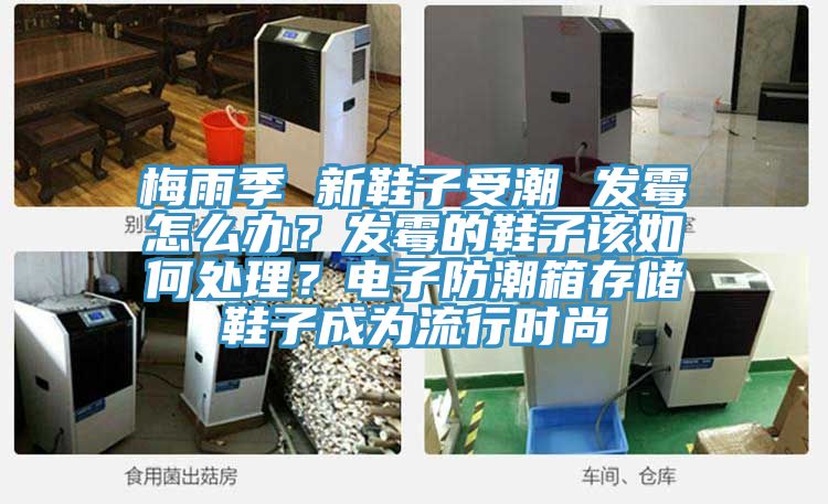 梅雨季 新鞋子受潮 發霉怎么辦？發霉的鞋子該如何處理？電子防潮箱存儲鞋子成為流行時尚