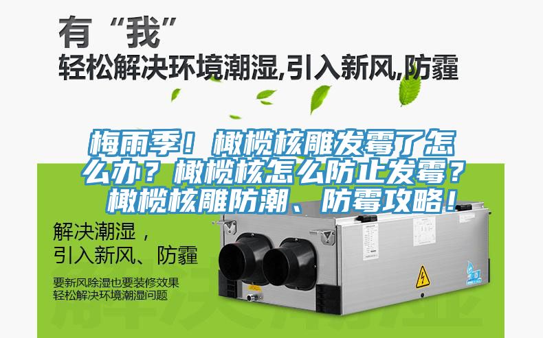 梅雨季!橄欖核雕發(fā)霉了怎么辦?橄欖核怎么防止發(fā)霉? 橄欖核雕防潮、防霉攻略!