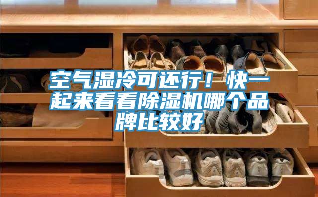 空氣濕冷可還行！快一起來看看除濕機哪個品牌比較好