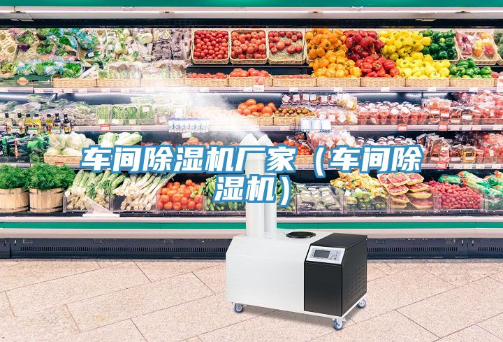 車間除濕機廠家（車間除濕機）