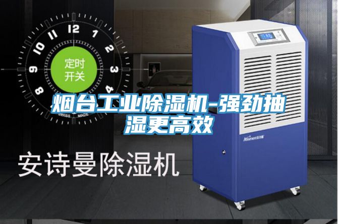 煙臺工業(yè)除濕機-強勁抽濕更高效