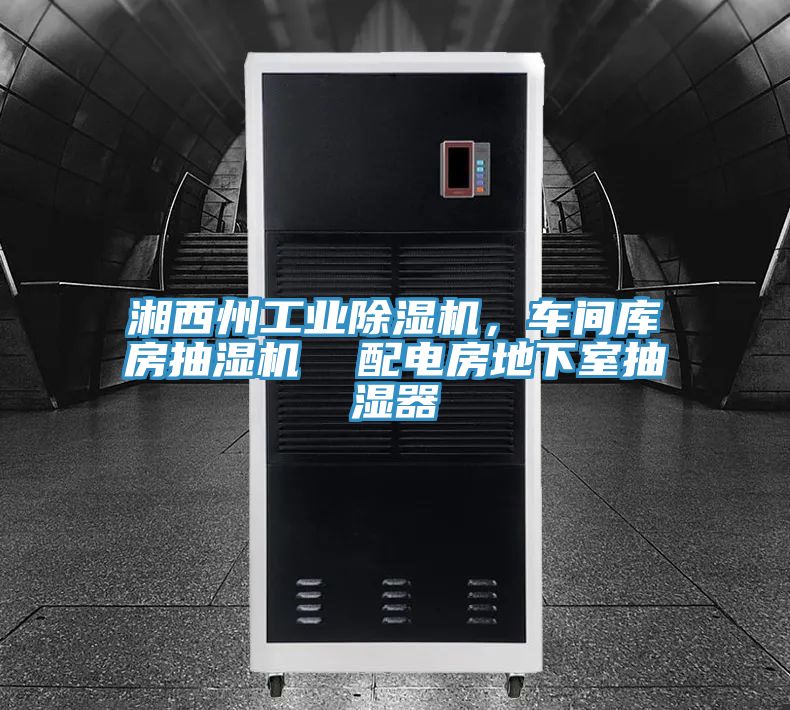 湘西州工業(yè)除濕機(jī)，車間庫房抽濕機(jī)  配電房地下室抽濕器