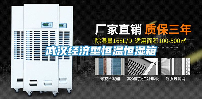 武漢經濟型恒溫恒濕箱