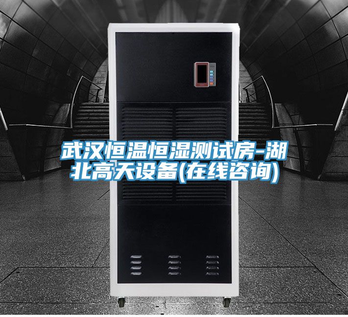 武漢恒溫恒濕測試房-湖北高天設備(在線咨詢)