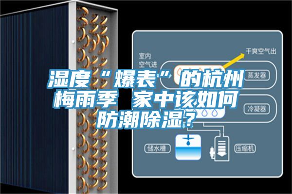 濕度“爆表”的杭州梅雨季 家中該如何防潮除濕？