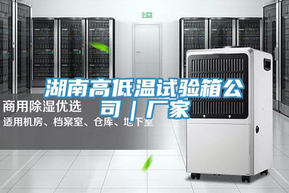 湖南高低溫試驗(yàn)箱公司|廠家