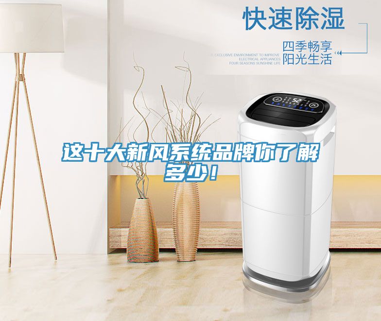 這十大新風(fēng)系統(tǒng)品牌你了解多少！
