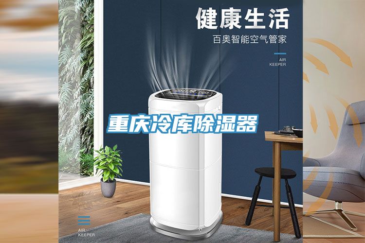 重慶冷庫(kù)除濕器