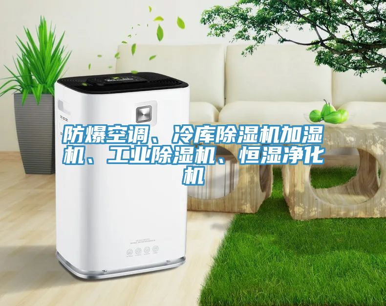 防爆空調、冷庫除濕機加濕機、工業除濕機、恒濕凈化機