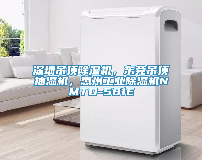 深圳吊頂除濕機，東莞吊頂抽濕機，惠州工業除濕機NMTD-581E