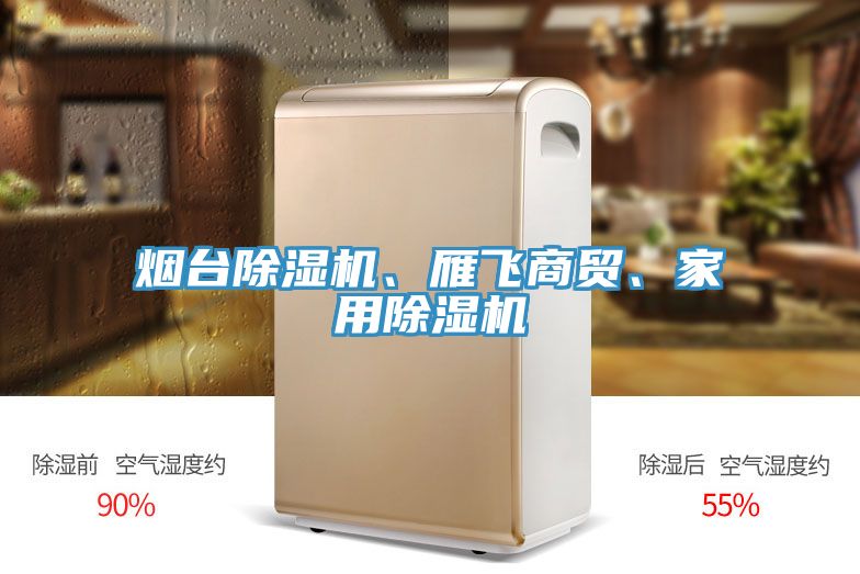 煙臺除濕機、雁飛商貿(mào)、家用除濕機