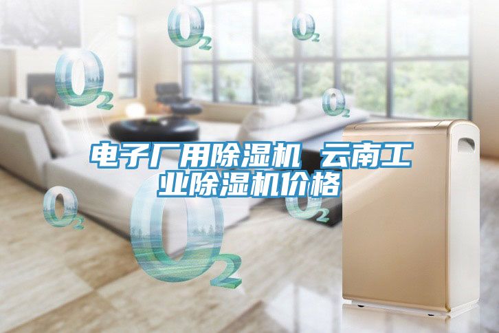 電子廠(chǎng)用除濕機(jī) 云南工業(yè)除濕機(jī)價(jià)格