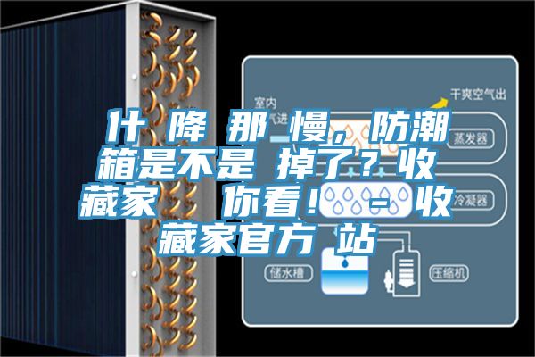 為什麼降濕那麼慢,防潮箱是不是壞掉了?收藏家實測給你看! - 收藏家官方網(wǎng)站