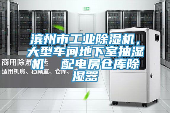 濱州市工業除濕機,大型車間地下室抽濕機 配電房倉庫除濕器