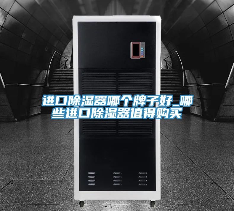 進口除濕器哪個牌子好_哪些進口除濕器值得購買