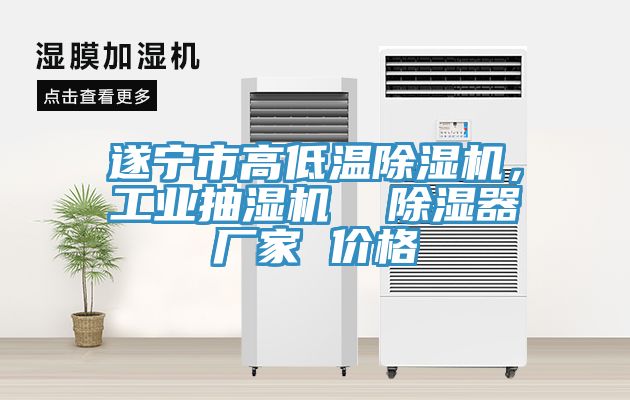 遂寧市高低溫除濕機(jī)，工業(yè)抽濕機(jī)  除濕器廠家 價(jià)格