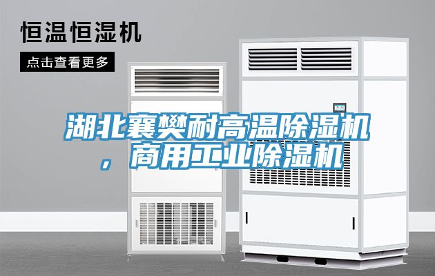 湖北襄樊耐高溫除濕機,商用工業除濕機