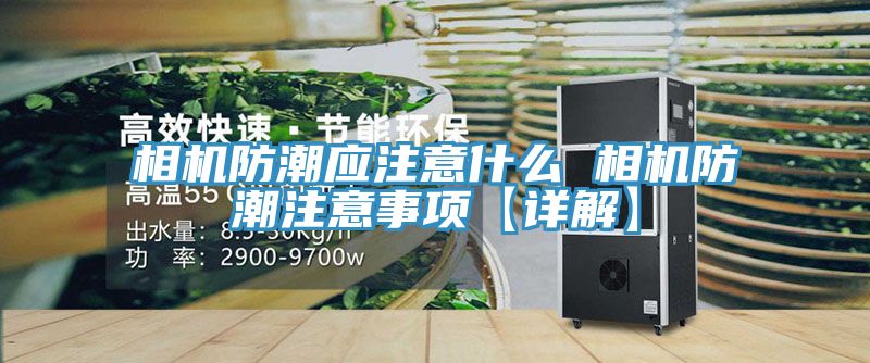 相機(jī)防潮應(yīng)注意什么 相機(jī)防潮注意事項(xiàng)【詳解】