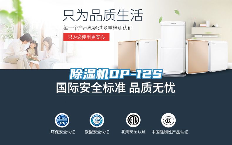 除濕機(jī)DP-12S