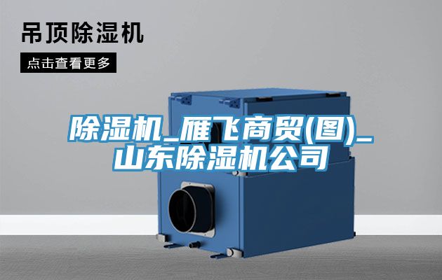除濕機(jī)_雁飛商貿(mào)(圖)_山東除濕機(jī)公司