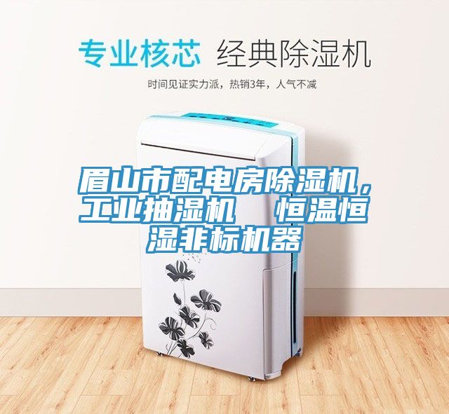 眉山市配電房除濕機(jī)，工業(yè)抽濕機(jī)  恒溫恒濕非標(biāo)機(jī)器