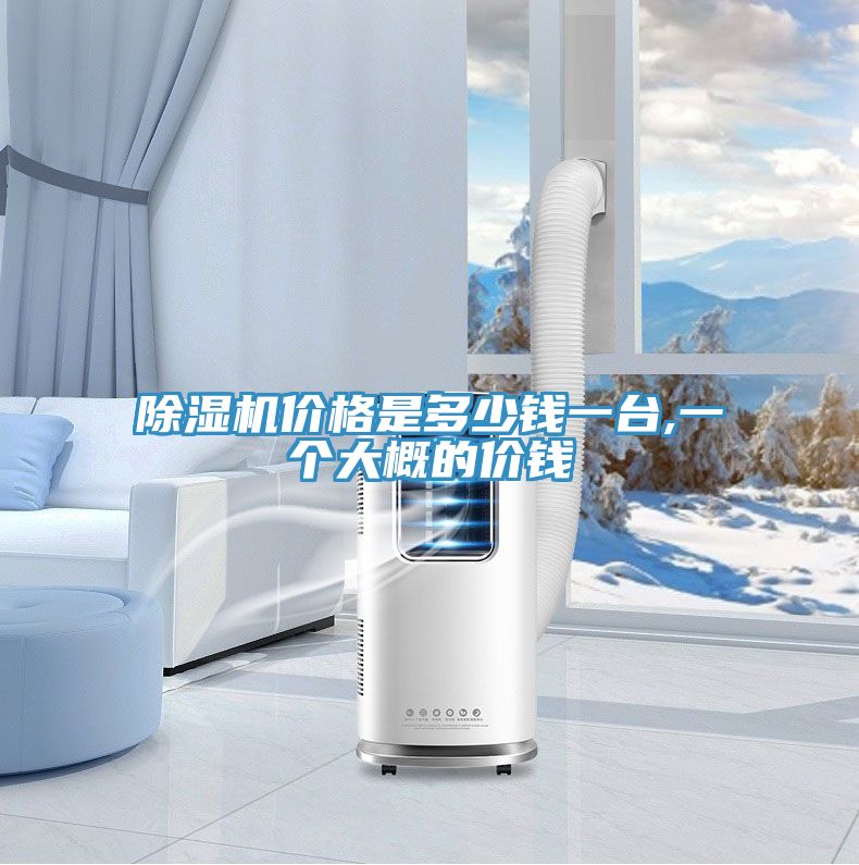 除濕機(jī)價格是多少錢一臺,一個大概的價錢
